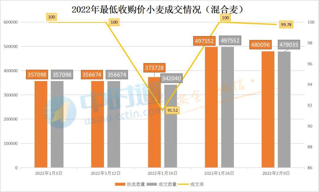 最新小麦拍卖，市场趋势、影响及前景分析