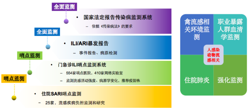 最新流感省份情况分析