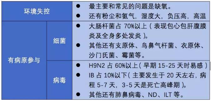 最新流感起因解析