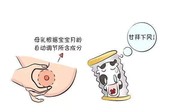 最新母乳播放，探索母乳喂养的奥秘与重要性