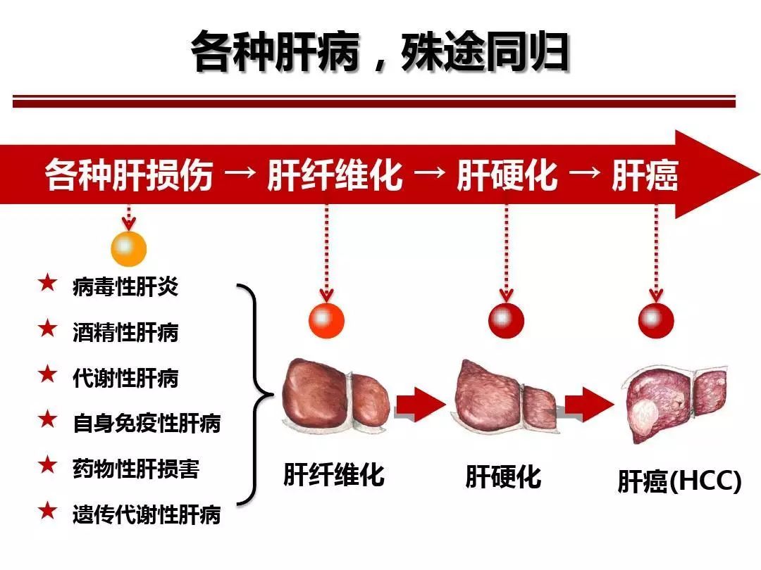 威海肝炎最新情况，预防、治疗与未来展望