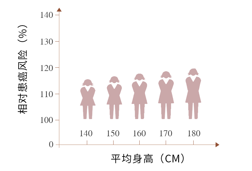 最新女性身高趋势，探讨、分析与展望