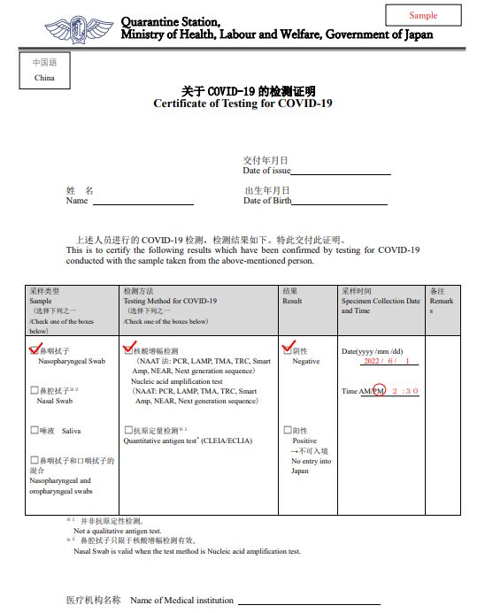 荷兰入境最新政策与规定，全面解读入境要求与流程