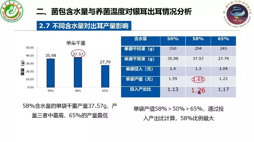 福建拼音最新研究与应用