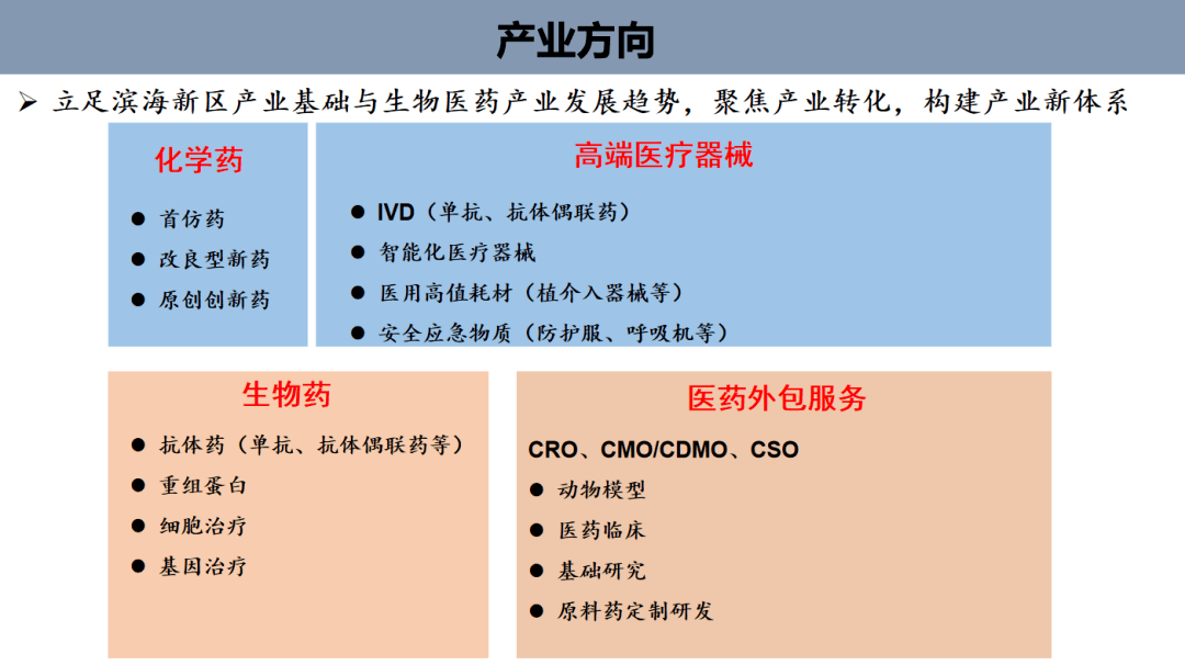 安国新闻最新动态，城市发展与民生改善齐头并进