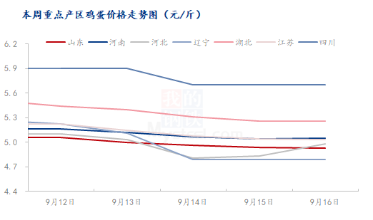 蛋鸡最新报价及市场动态分析