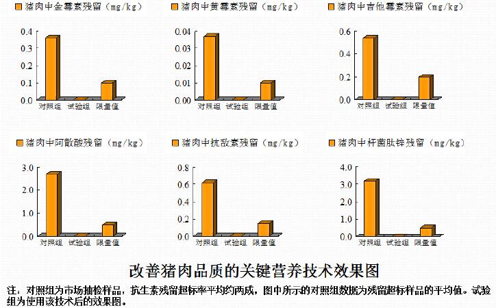 畜牧最新猪肉，品质提升与技术革新引领行业变革