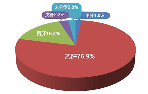 大连最新肝炎概况及其影响