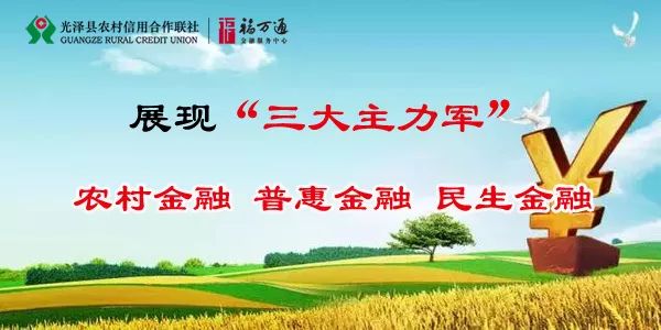 政府最新公告，推动社会进步，服务民众的新举措