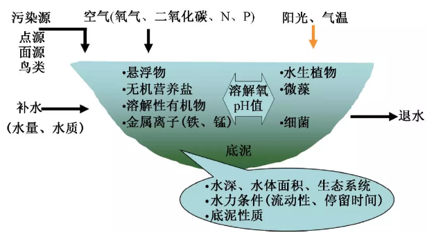 最新排水规定，重塑城市水管理的关键要素