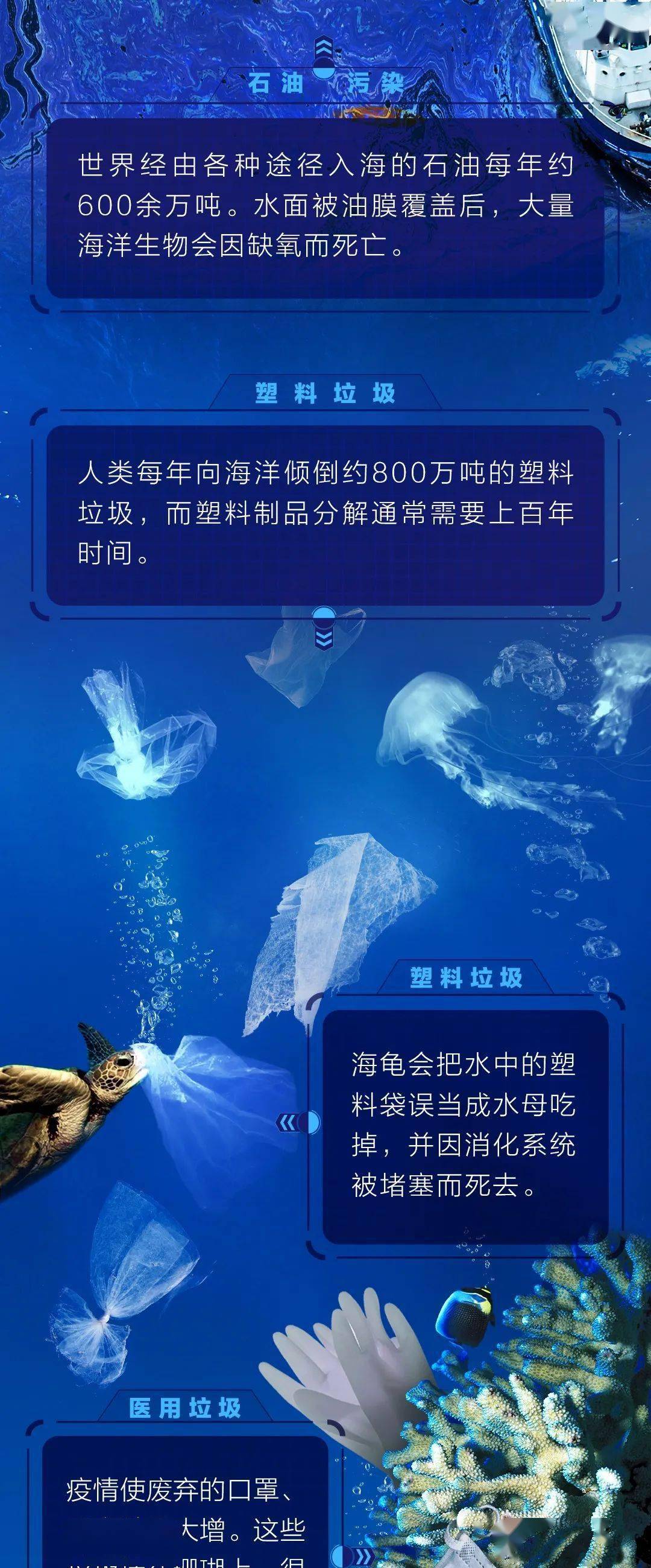 收录网站最新内容，探索新时代的资讯海洋