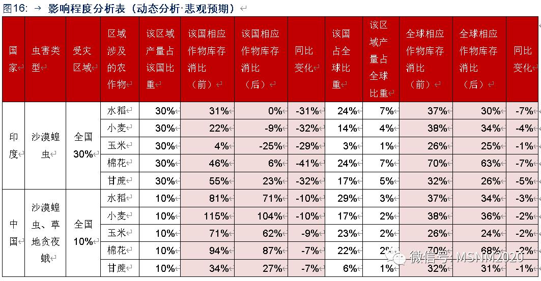 蝗虫来袭最新动态，全球面临的严重挑战与应对策略