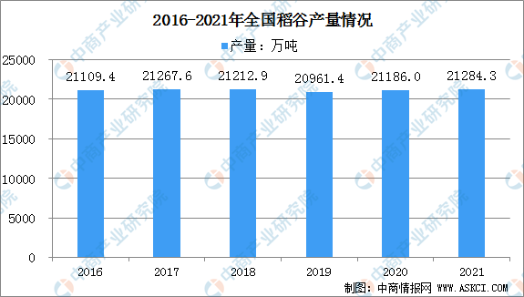 最新大米消息，全球大米市场动态与趋势分析