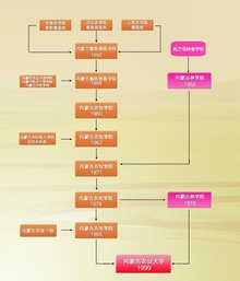 CJ江苏科技大学，历史沿革、学术成就与未来展望