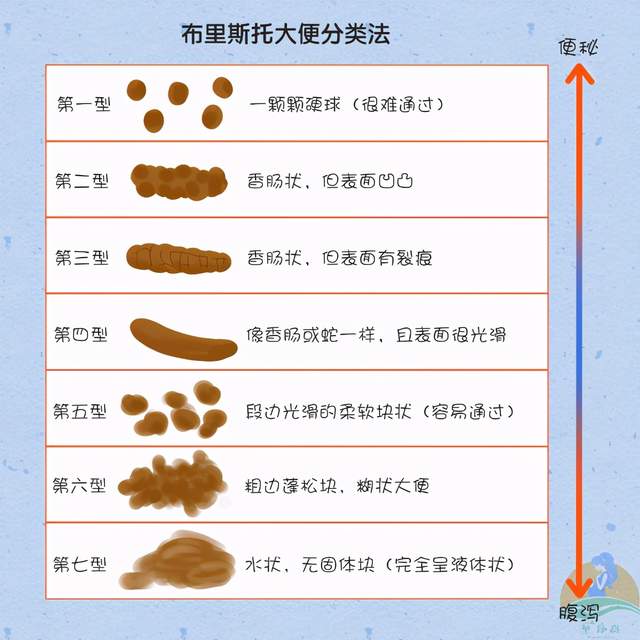 关于两个月宝宝八天未排便的探究与应对