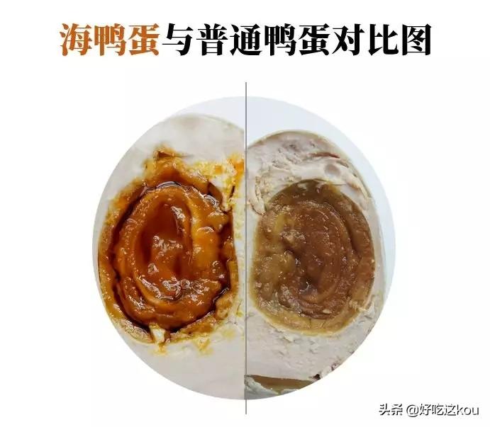 十个月宝宝的饮食，能否吃鸭蛋？