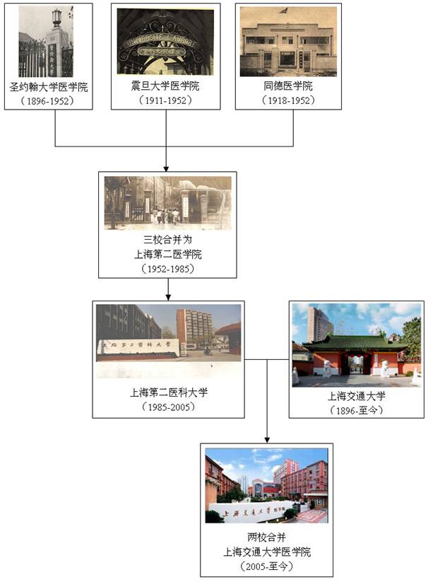 广东省广东大学，历史沿革、学术成就与发展展望