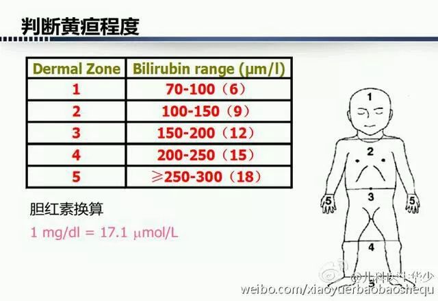 一个月黄疸值达68，深度解析与应对策略