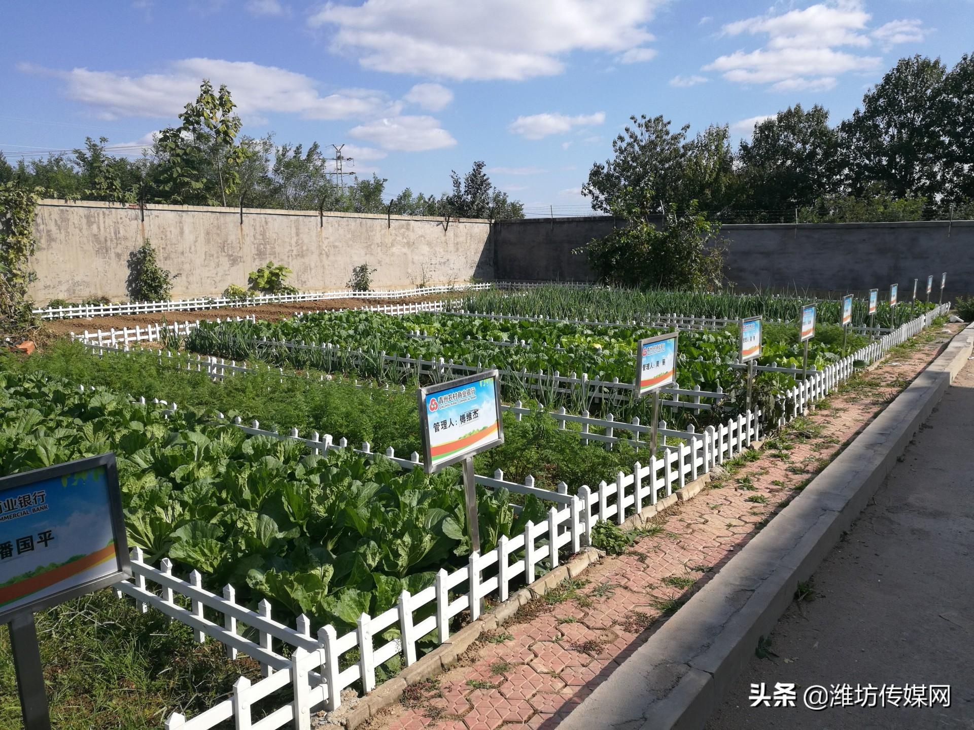 潍坊广东物流有限公司，连接山东与广东的物流纽带