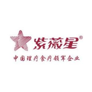 广东皇盈有限公司，探索卓越，共创辉煌