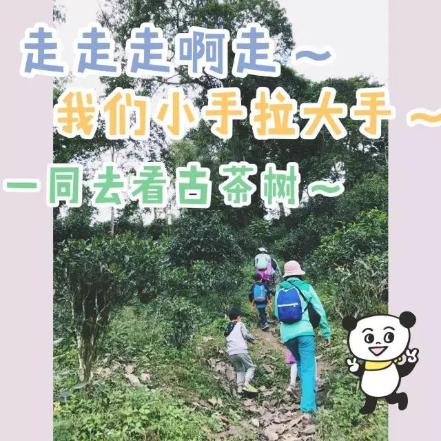 关于六个月宝宝的成长与照顾，探索婴儿早期发展的奇妙旅程