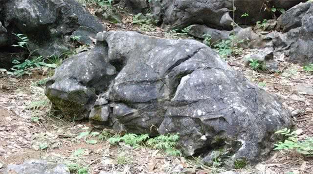 广东天际有限公司的招工动态与就业前景