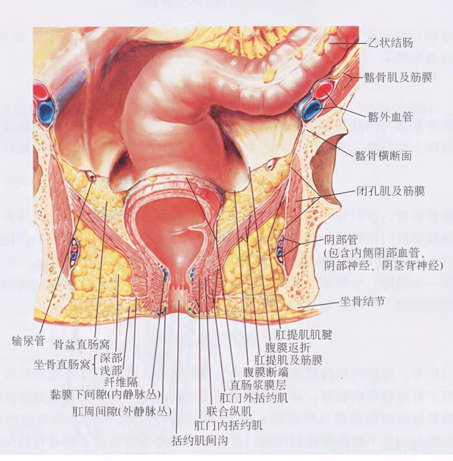 六个月宝宝正常大便的特征与变化