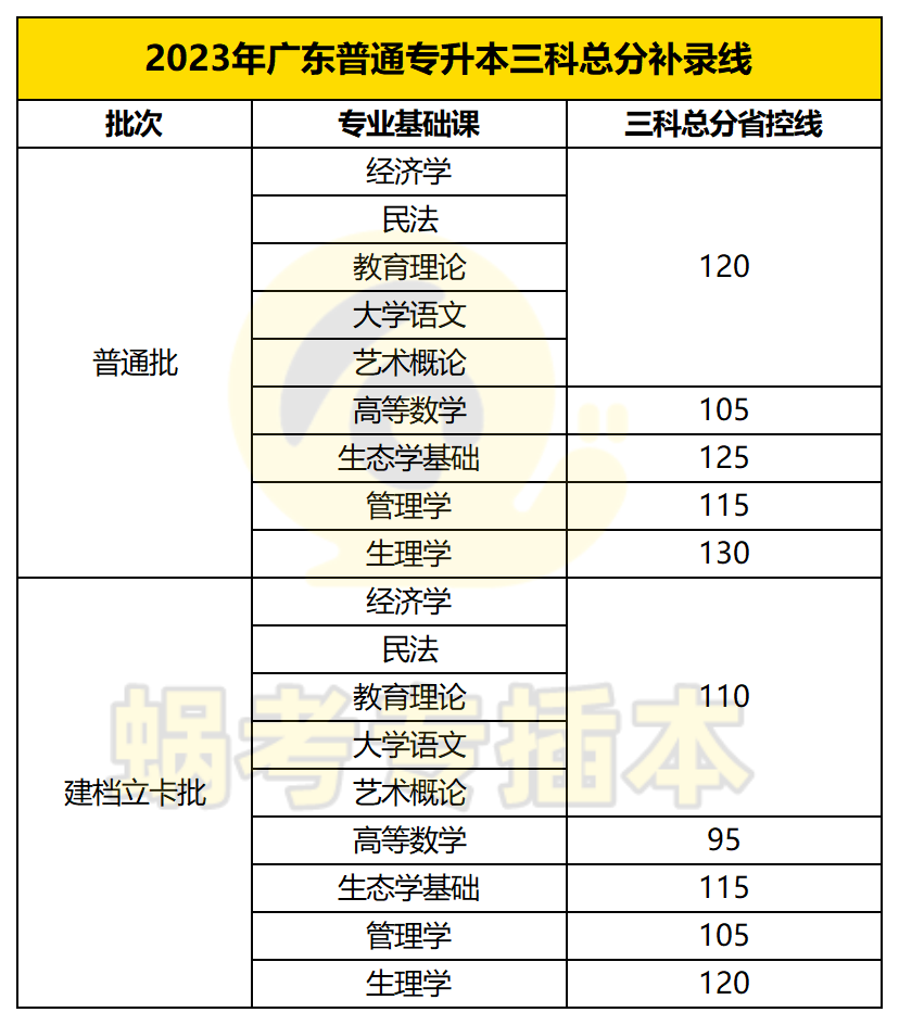 广东省专插本备考攻略