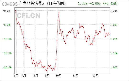 广东关太有限公司，探索、发展与未来展望