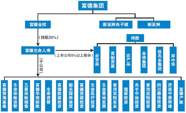 广东福德有限公司的股东群体，角色与影响