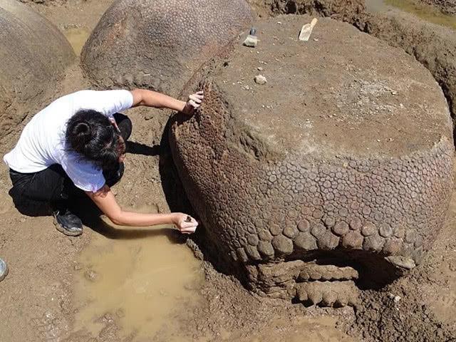 广东省生物竞赛，孕育生物学新星的热土