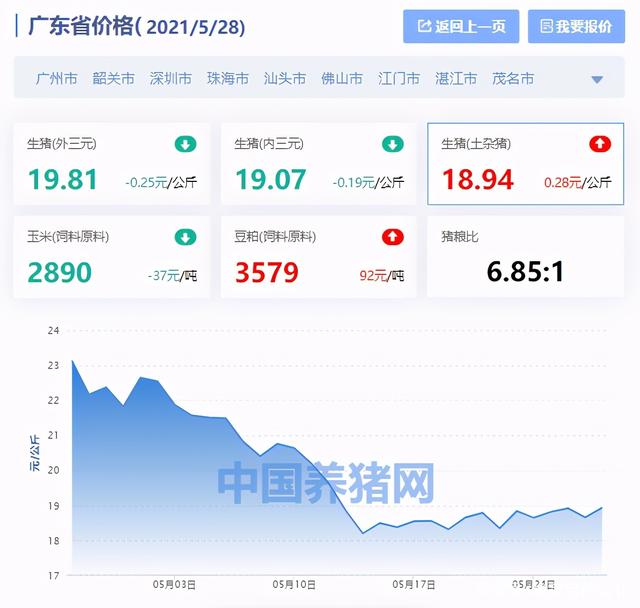 广东省今日猪价格动态分析