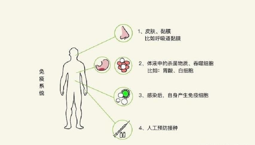 两个月宝宝体温37度正常吗？解读婴儿体温变化与注意事项