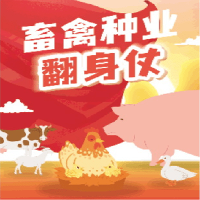 广东特昇科技有限公司，创新科技的先驱者