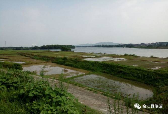 广东省余江区，历史底蕴与现代魅力的交织之地