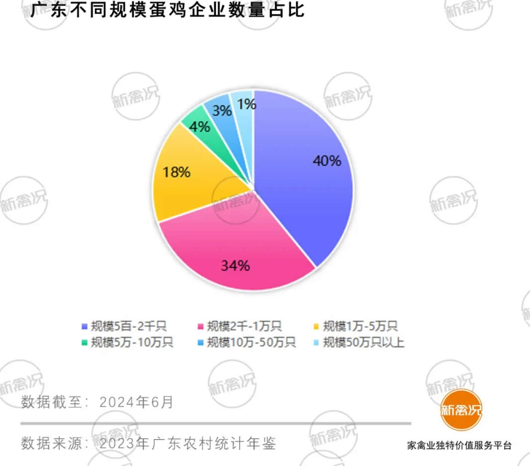 广东省鸡蛋收购业务的深度探索