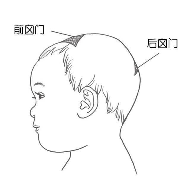 两个月宝宝卤门标准解析