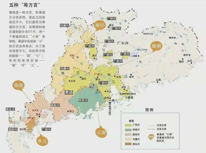 广东省茶叶种植分布概览