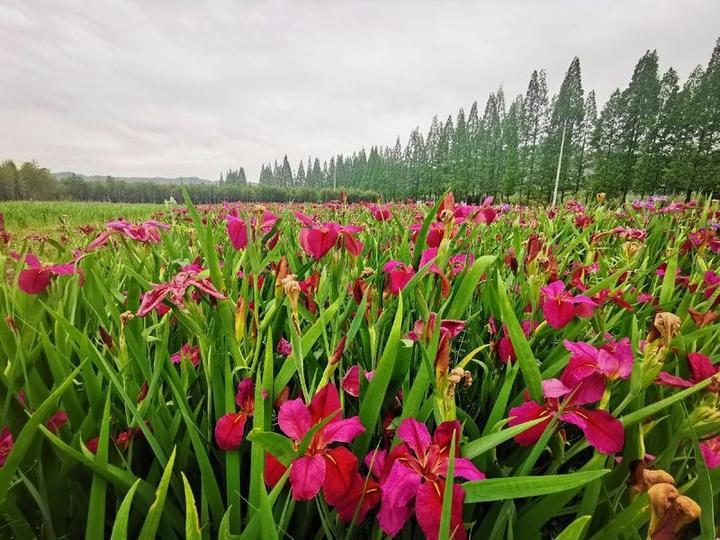 临安於潜房产，市场现状与发展前景